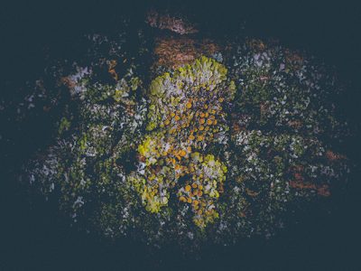 DSCF0076